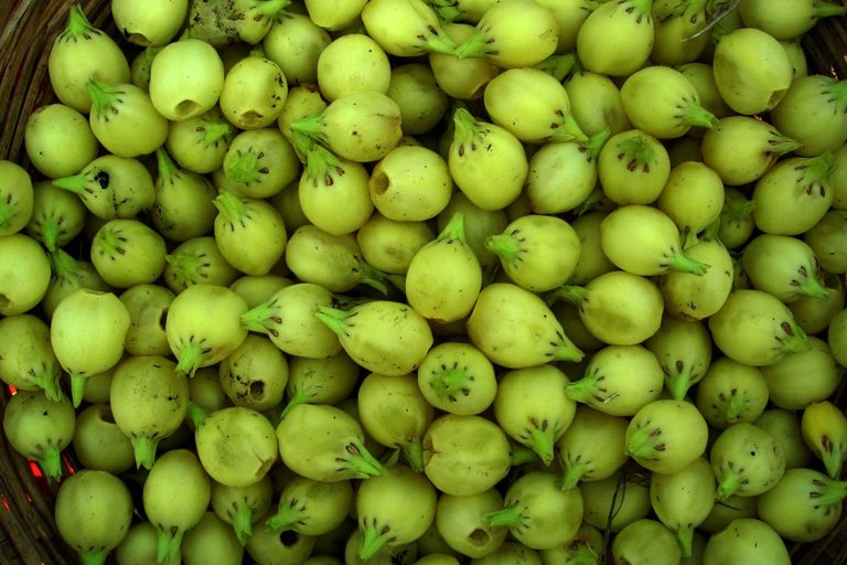 महुआ फूल