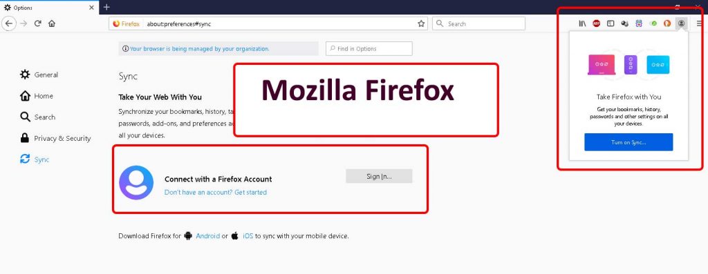 Browser synchronization सूचना की तादात्म्यता Mozilla Firefox