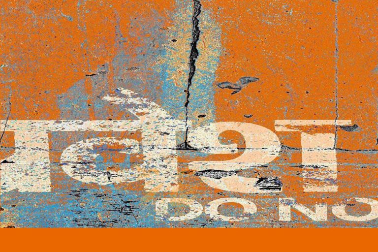 भाषा-संकट राष्ट्रभाषा व जीविका