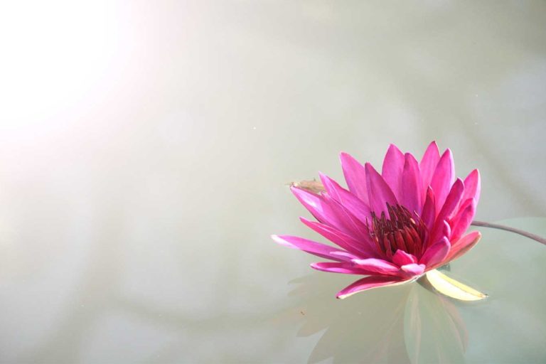 Buddha Purnima Brahmadanda बुद्धपूर्णिमा पर ब्रह्मदण्ड : पच्छिमवाचा