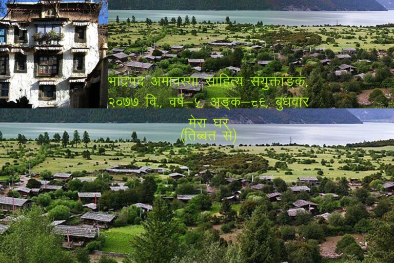 मेरा घर (तिब्बत से) भाद्रपद अमावस्या साहित्य संयुक्ताङ्क, २०७७ वि., वर्ष-५, अङ्क-८९, बुधवार