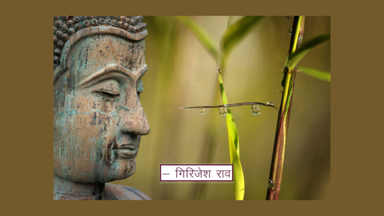 Andropogon muricatus usira उशीर Vetiver खस और बुद्ध : लघु दीप - ३१