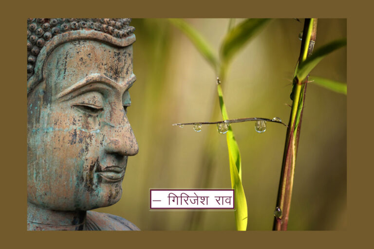 Andropogon muricatus usira उशीर Vetiver खस और बुद्ध : लघु दीप - ३१