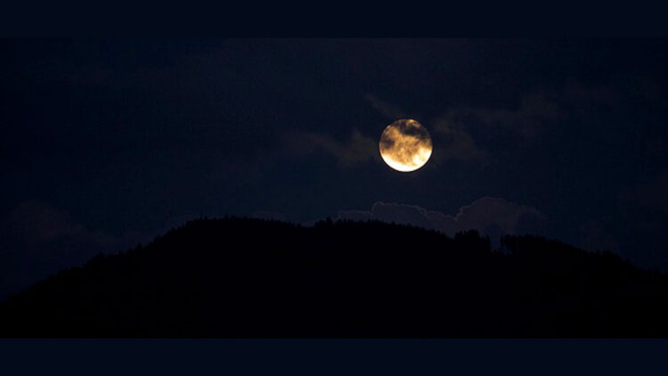 गले कटवाते रहना घोर तामस है! जीवन्त जाति का लक्षण नहीं।