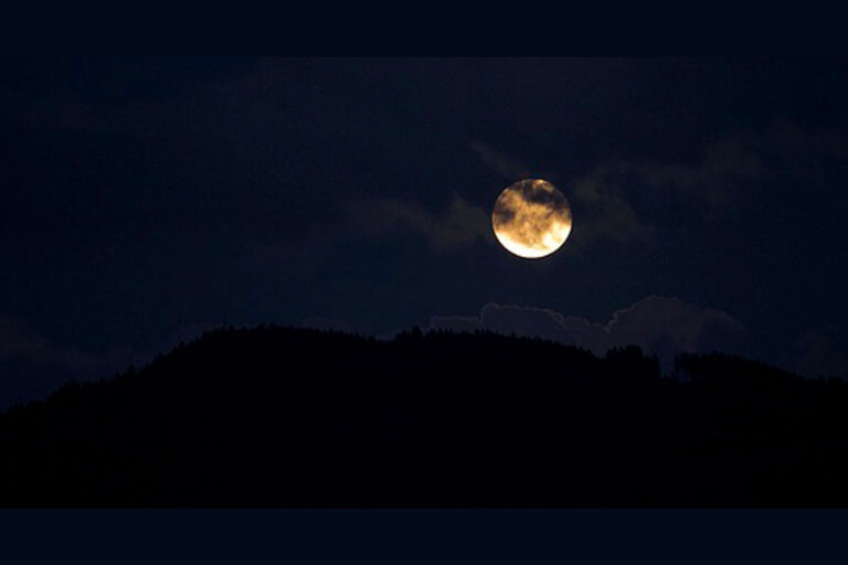 गले कटवाते रहना घोर तामस है! जीवन्त जाति का लक्षण नहीं।