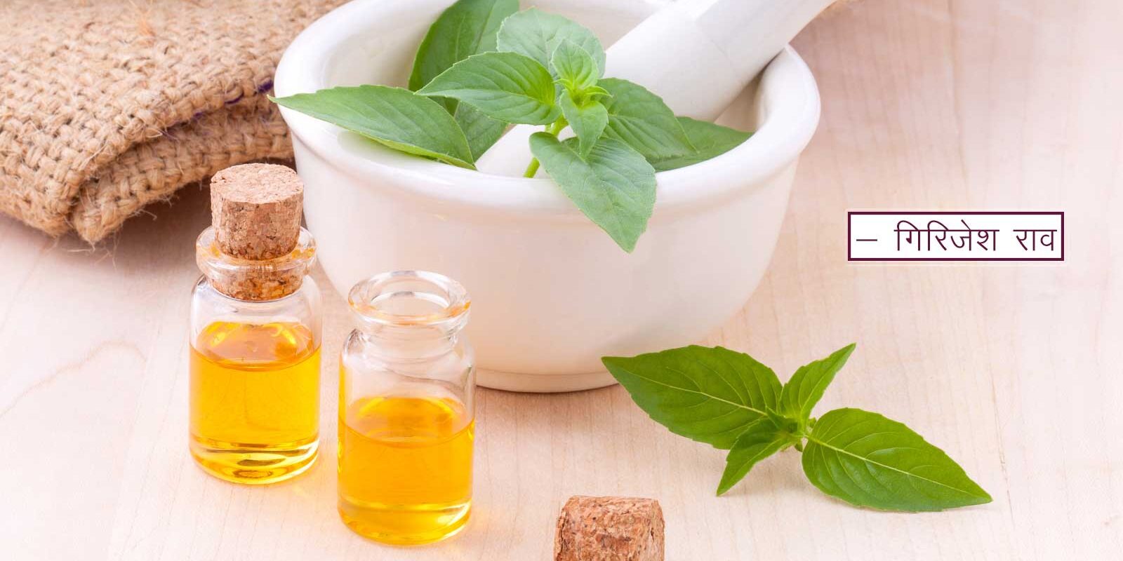 वनौषधि वर्ग अमरकोश से : लघुदीप – ३७ वनौषधि वर्ग अमरकोश से : लघुदीप – ३७